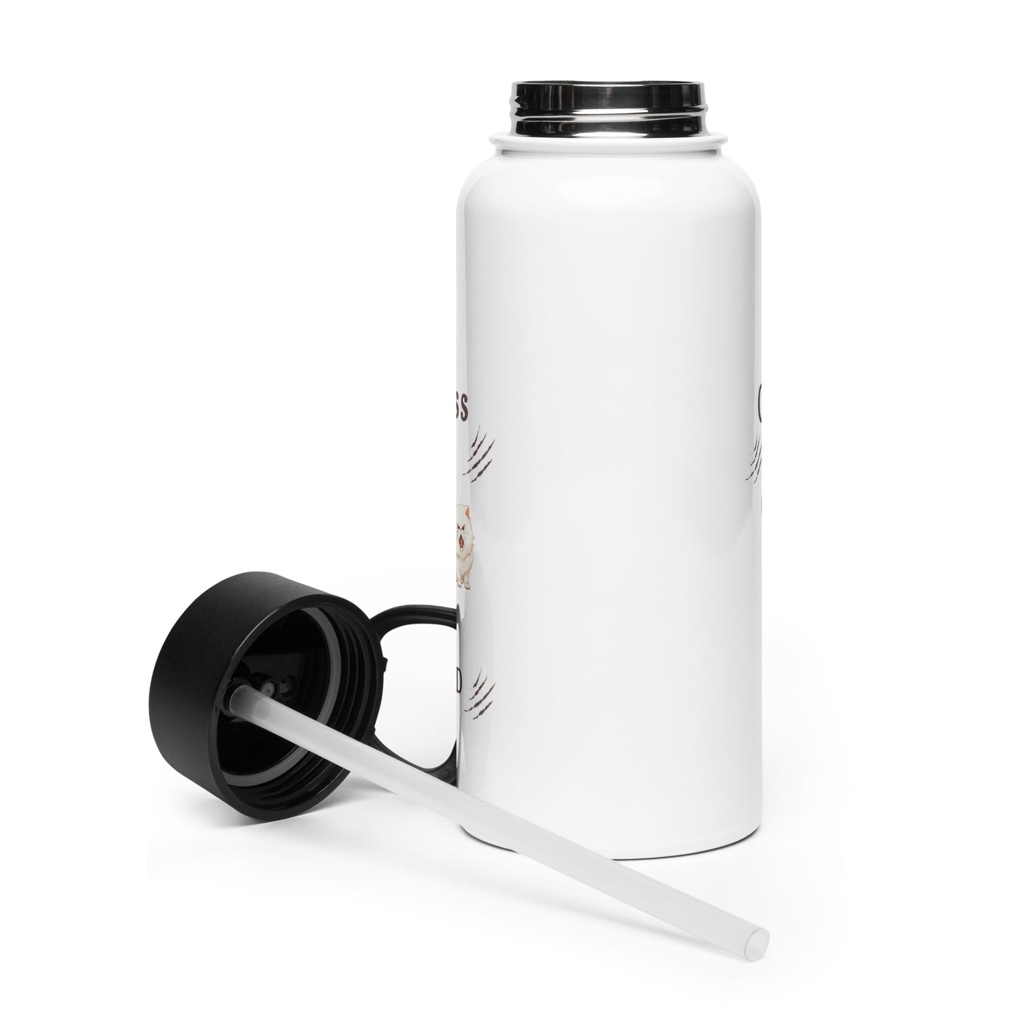 Childless Cat Lady & Proud Stainless Steel Water Bottle With Straw Lid by EraofInk