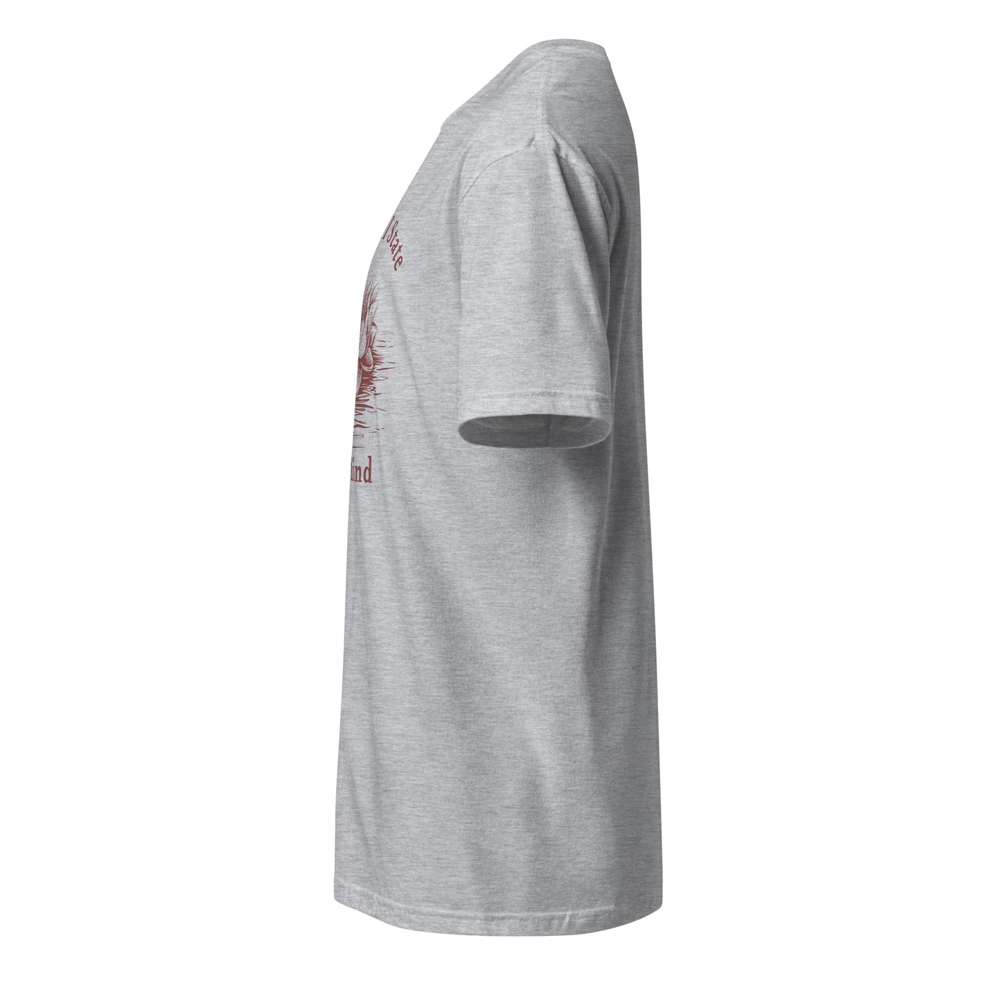 Grateful State of Mind Unisex Tee by EraofInk
