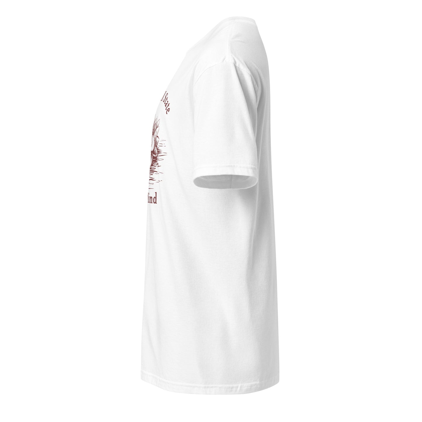 Grateful State of Mind Unisex Tee by EraofInk