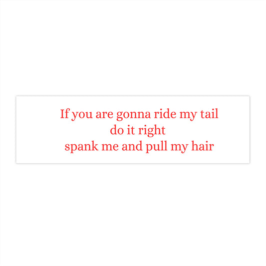 If You Are Going to Ride My Tail Do It Right - Spank Me and Pull My Hair - Bumper Stickers - by RecreatingKrista
