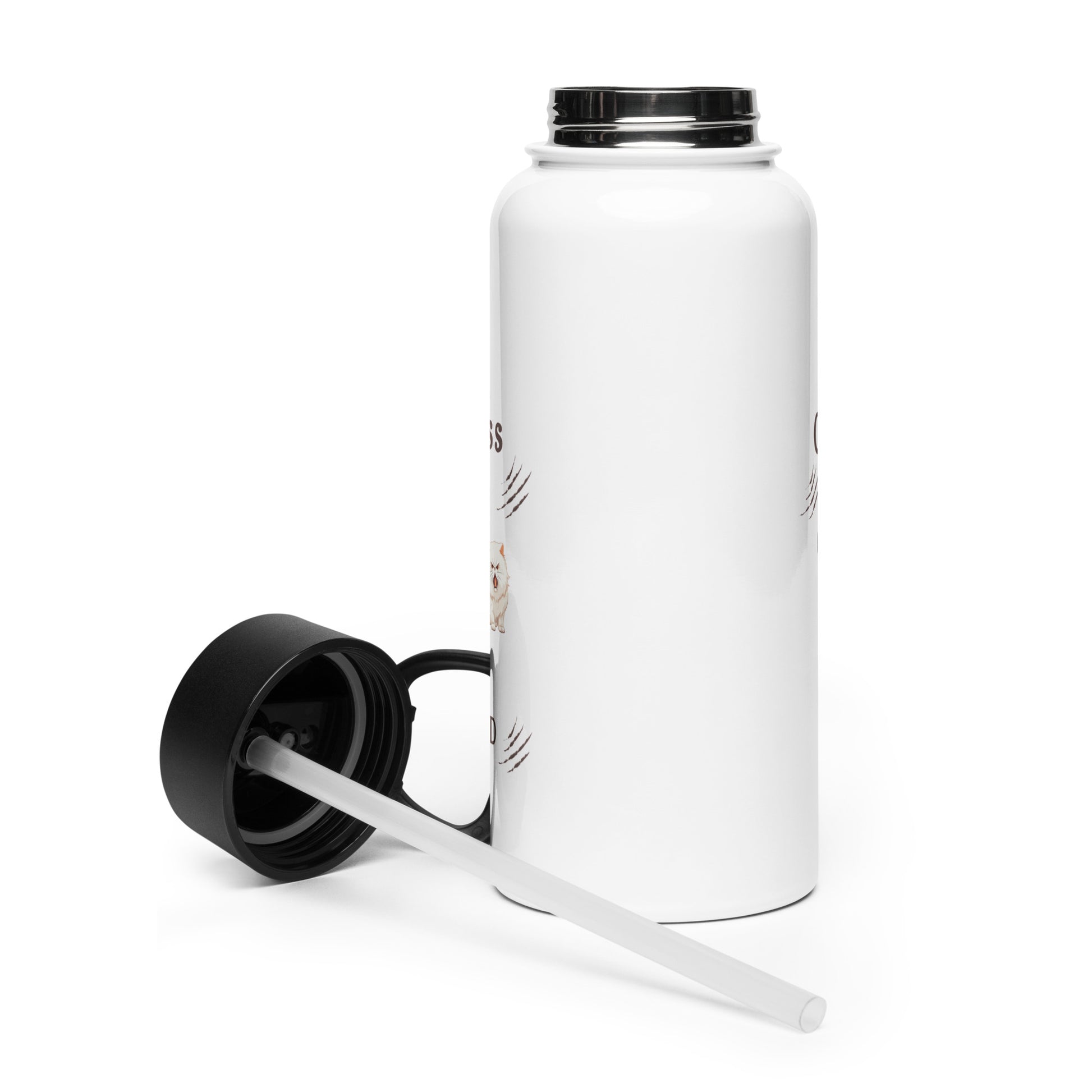 Childless Cat Lady & Proud Stainless Steel Water Bottle With Straw Lid by EraofInk