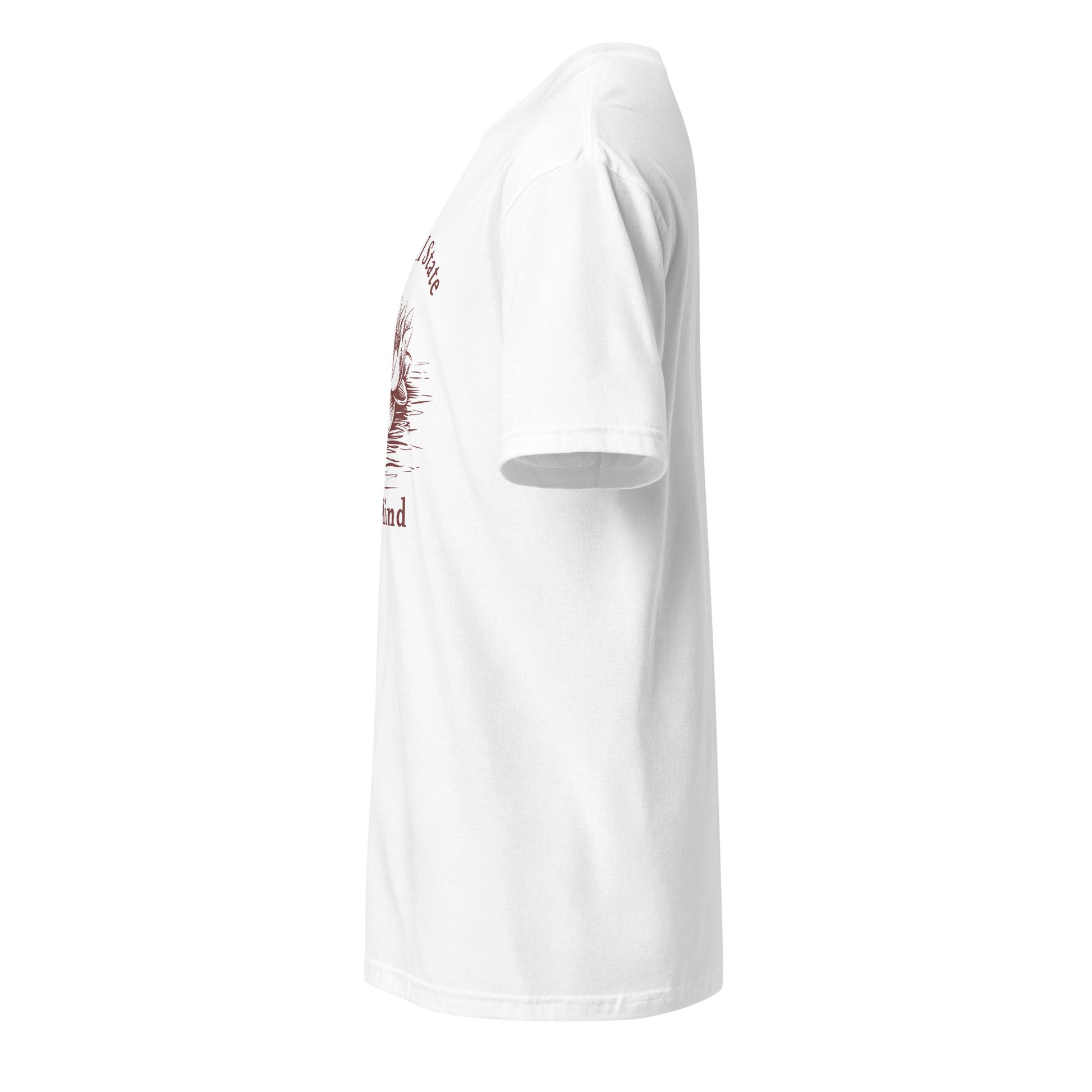 Grateful State of Mind Unisex Tee by EraofInk