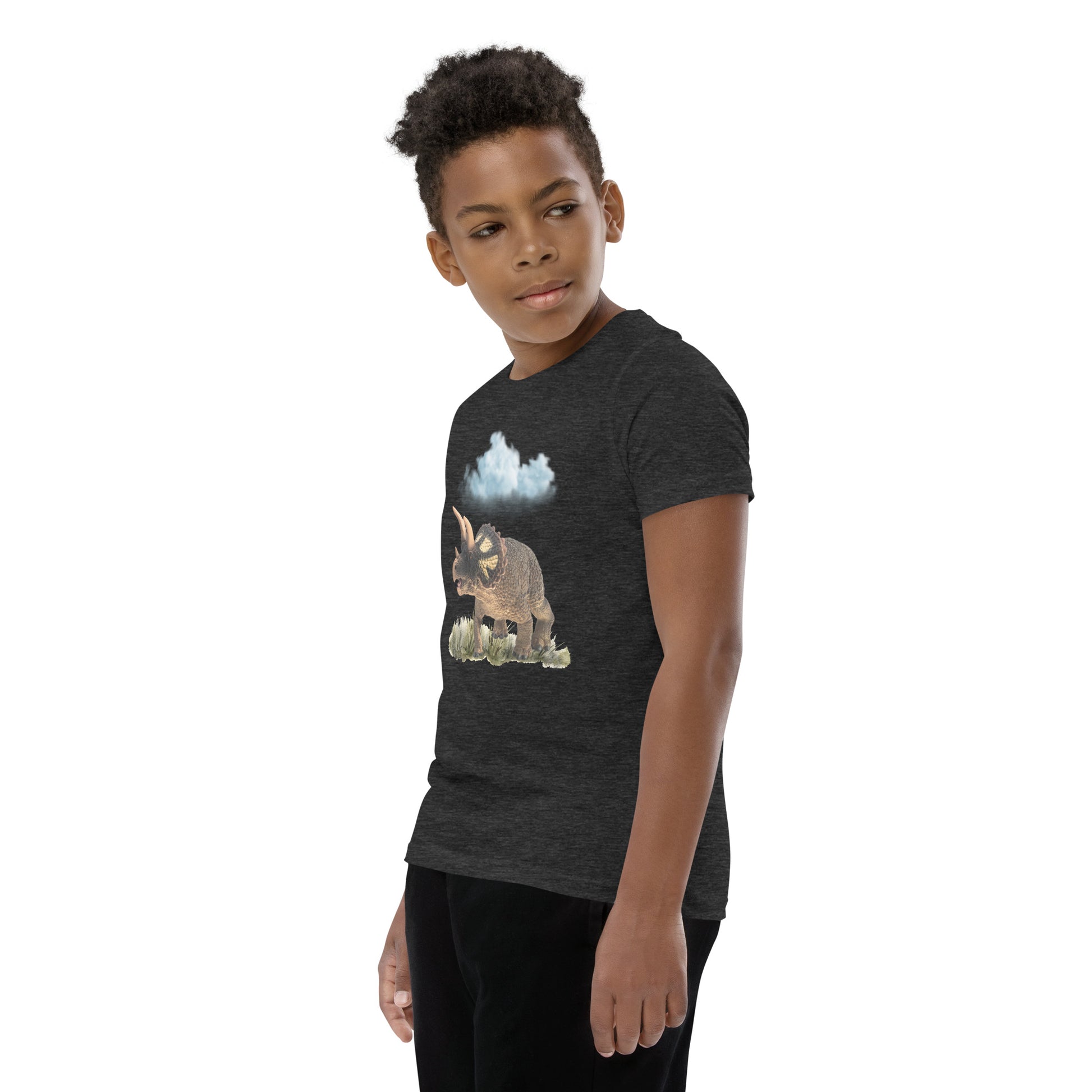Roaming Dino Youth Tee by EraofInk