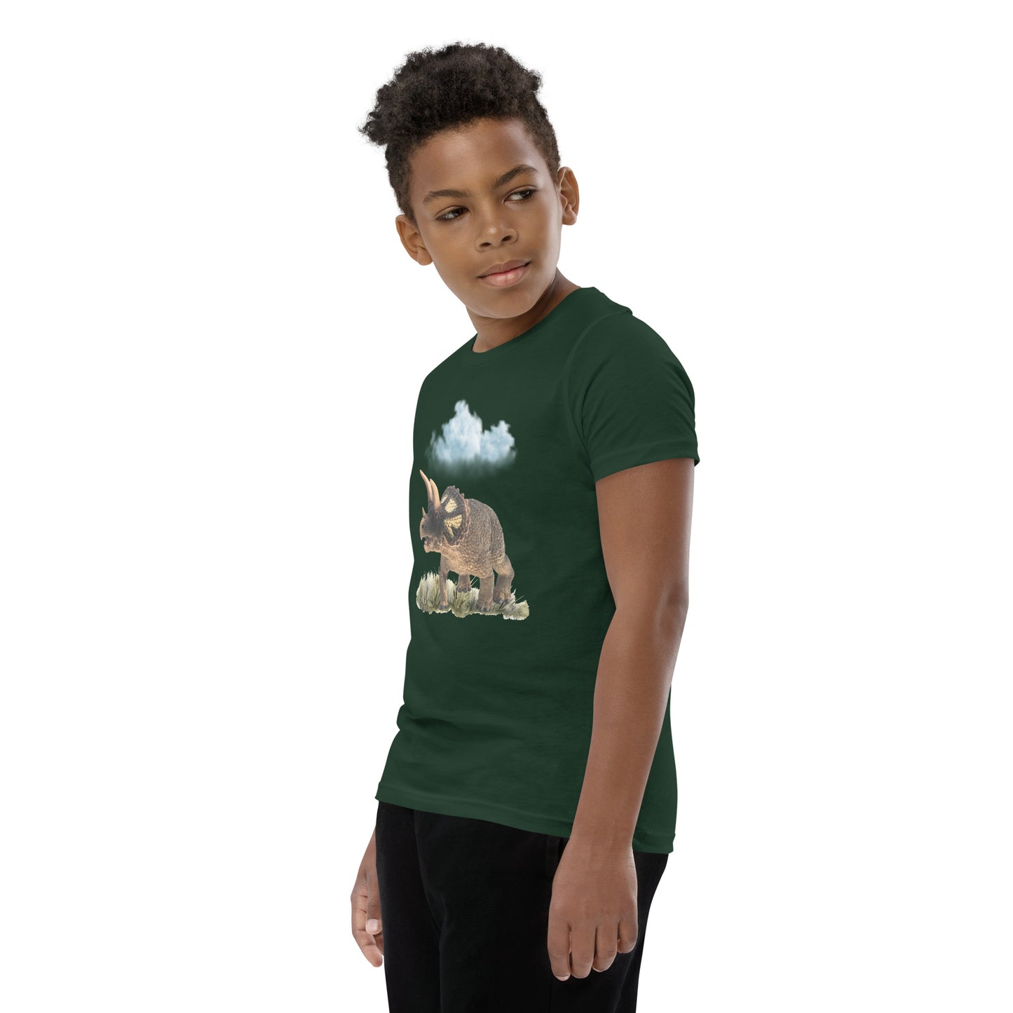 Roaming Dino Youth Tee by EraofInk
