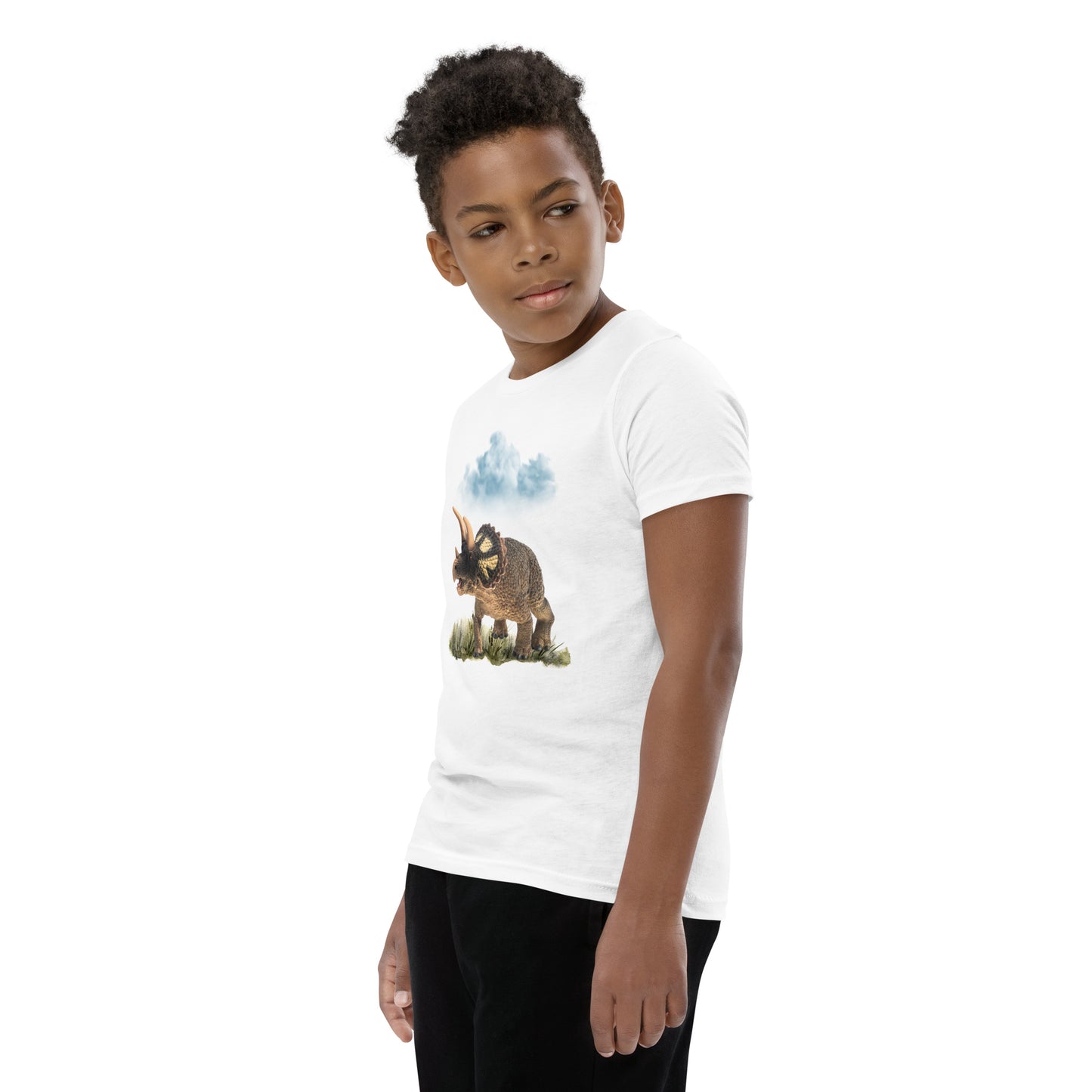 Roaming Dino Youth Tee by EraofInk
